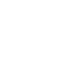 Inventory Icon